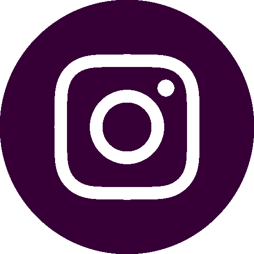 Instagram Icon