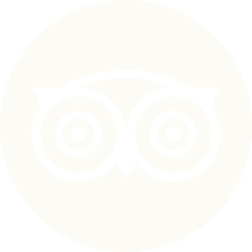 TripAdvisor Icon